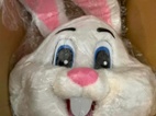Maskot zajíc