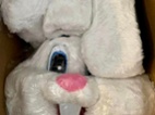 Maskot zajíc