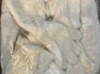 Maskot zajíc