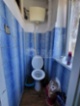 Pronájem, byt 2+1+B, ul. Stromořadí, Dobřany
