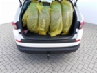 Škoda Kodiaq, Style! 4x4! 2.0 TSI 140KW! DSG, SUV,