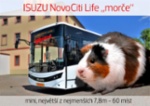 Isuzu Novo Citi Life 8M CLASS I, 137, r.v. 2025,