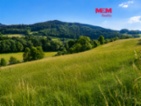 Prodej louky, 4215 m², Lužná