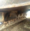 Komatsu 750 PC (80t bagr pásák, r.v. 2005, najeto