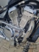 Suzuki VS 800 GL Intruder, chopper