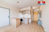 Prodej bytu 1+1, 41 m², Teplá, ul. Palackého