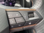 Cupra Formentor, 2,0 TSI 4x4 DSG, SUV, benzin