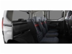 Citroën Berlingo, 30 Let, MPV, benzin