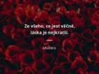 Hledám muže
