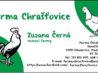 Prodej kachňat 