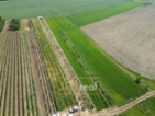 Prodej pozemku 1 135 m² - Trboušany.Nabízíme k