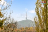 Prodej obchodního objektu, 580 m², Český Bukov.