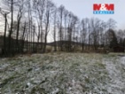 Prodej restaurace, 598 m², Dolní Světlá  