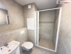 Pronájem bytu 1+1, 40 m2, Družstevn