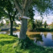 RD 200, Odrovice 