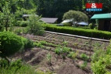 Prodej chaty 72 m², Olešnice v Orlických horách Orlické hory