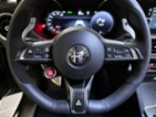 Alfa Romeo Stelvio, 2.9 V6 BiTurbo 520k QV Carbon,