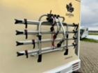 Ahorn, nafta