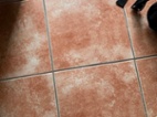 Dlažba interiér 25x25