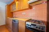 Pronájem bytu 1+1, 49 m², Horní Slavkov, ul. Dlouhá