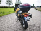 Triumph Tiger 900, silniční enduro