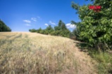 Prodej chaty, 55 m², Ondratice, ul. Ondratice