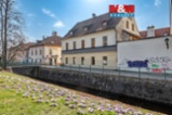 Pronájem obchodního objektu, České Budějovice, ul. Hradební