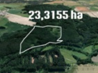 Prodej lesa 233 155 m Žďár u Nové Včelnice