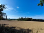 Prodej lesa 233 155 m Žďár u Nové Včelnice