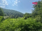 Prodej chaty, 1441 m², Nezabudice