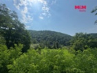 Prodej chaty, 1441 m², Nezabudice