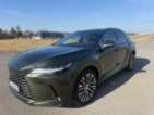 Lexus RX 450h, EXECUTIVE HYBRID, SUV, hybridní -