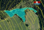 Prodej lesa, 8743 m², Valašská Senice