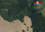 Prodej lesa, 8743 m², Valašská Senice