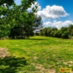 Sudice u Boskovic, pozemek pro bydlení, 2 430 m2 –