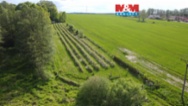 Prodej ovocného sadu, 6819 m², Petrovice u Karviné