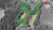 Les 32996 m², Ohnišov - Zákraví