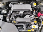 Subaru Outback, XT Premium 2025, rezervováno,