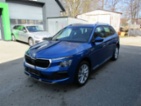 Škoda Kamiq, Top Selection 1,0TSI 85kW DSG/, SUV,