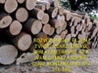 Dřevo po 12m