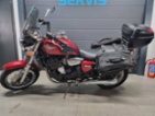 Triumph Legend TT, chopper