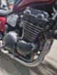 Triumph Legend TT, chopper