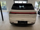 Leapmotor C10 REEV, C10 Design REEV (160kW)/D393DY