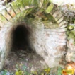 Litobratřice, komerce, vinný sklep 