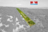 Ovocný sad 4295 m2 v Židlochovicích