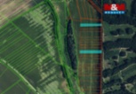 Prodej pole, 5359 m², Seloutky