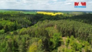 Les 79000 m², Černýšovice