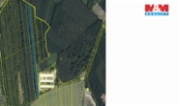 Prodej lesa, 8906 m², Městec Králové