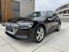 Audi e-tron, 50 QUATTRO BUSSINES 1 Majitel, SUV,