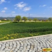 Fryšták, okr. Zlín, stavební pozemek 3.940, sítě -